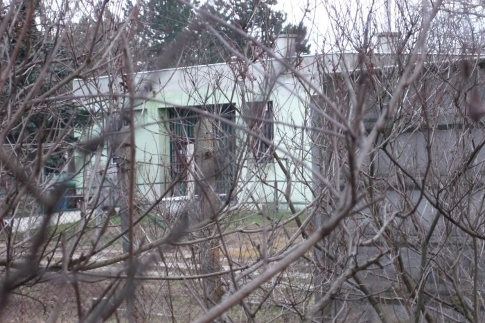 P1030629_hap_kapuszolgalat_orseg