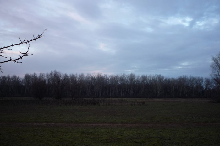 P1030630_hap_meletti_telkek