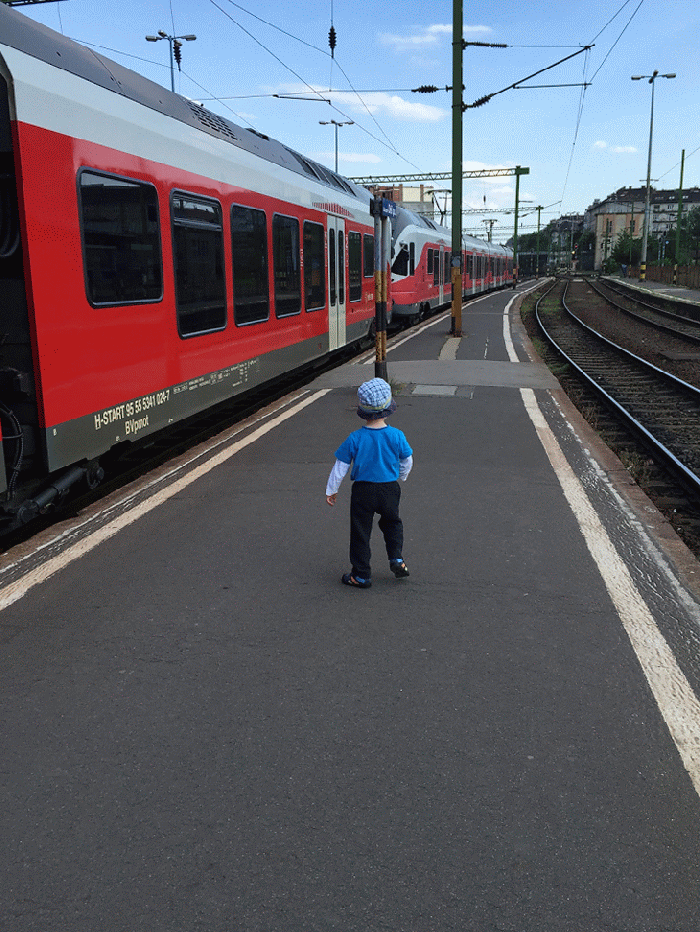 D6D72D50-645F-43A8-A33E-F398857C7B43