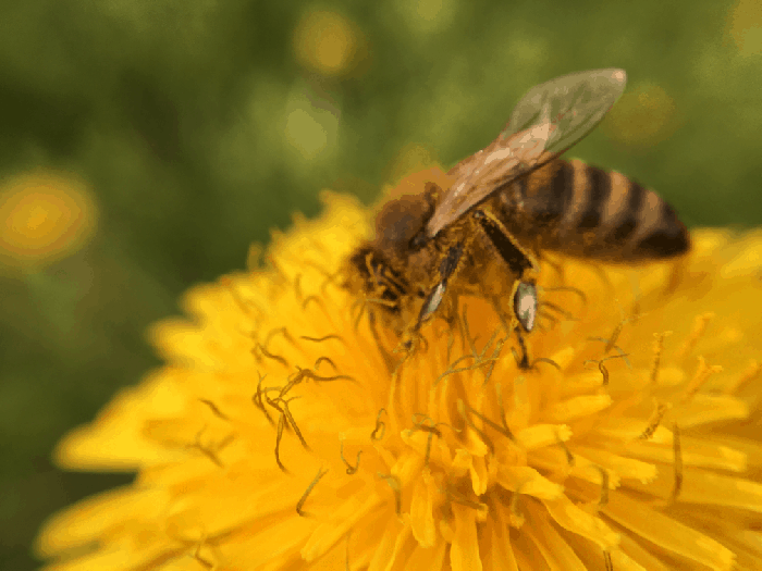 File 2016. 04. 06. 19 24 10.gif