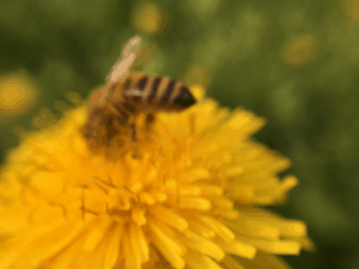 File 2016. 04. 06. 19 30 31.gif