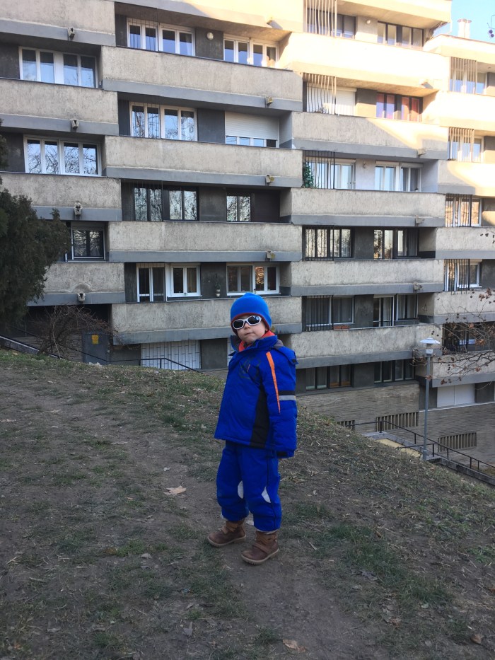 20161229_110132255_ios